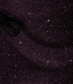 360_reflective_rasin_texture_image
