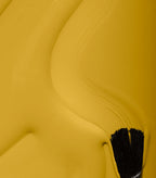314_lion_yellow_texture_image