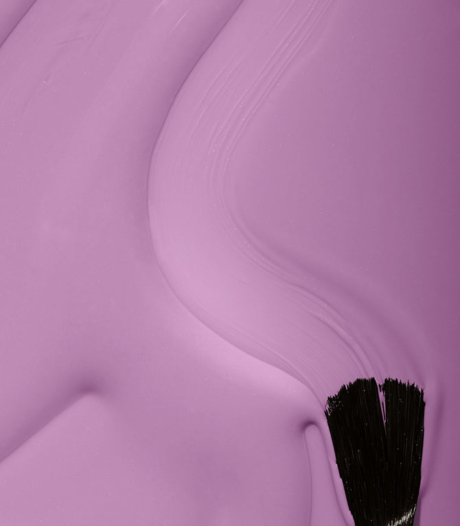 324_lotus_lila_texture_image